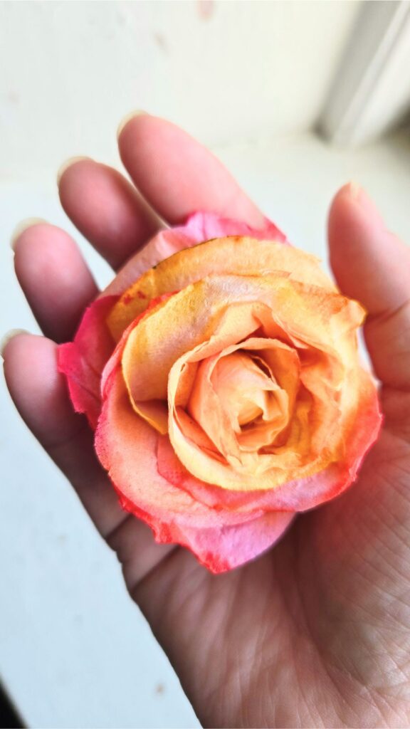 A delicate handmade paper rose